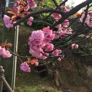 引越し完了
