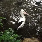萬屋の画像