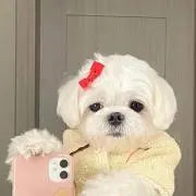 sの画像