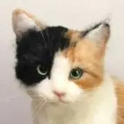 な〜　❇️プロフ必読の画像