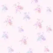 fumiの画像