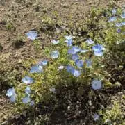 あいうの画像