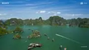 OSAKAの画像