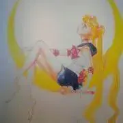 断捨離中⚠️購入コメント必須⚠️セラムンの画像
