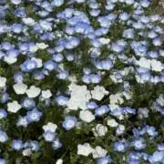 3535の画像