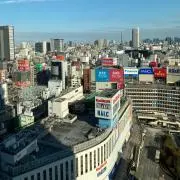 KOKO