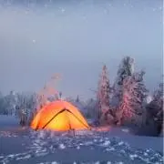 きのぴの画像