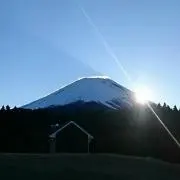 こーじの画像