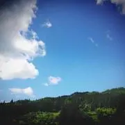 HAの画像