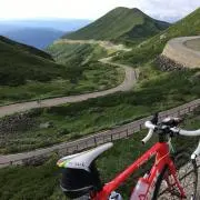 こじーの画像