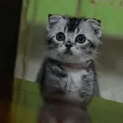 そら太郎