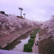 ゆい