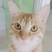 づーみん
