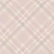 お値下げ○の画像
