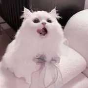 mの画像