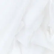 ゆゆゆの画像