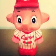 かーぷかつぞう