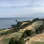 松純