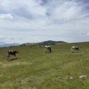 mの画像