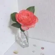 miiiK