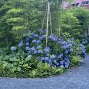 TIMの画像