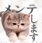 もちの画像