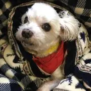 ☆Ruki☆の画像