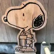 SNPの画像