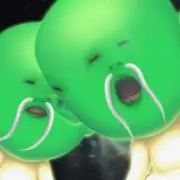 コメントは不要の画像