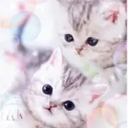 ブラックサワーの画像