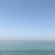 skyblueの画像
