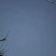 かんの画像