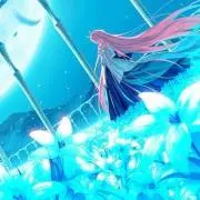 zwの画像