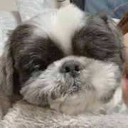 おらふの画像