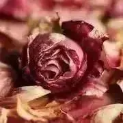 m ♡の画像