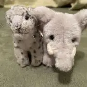 ぽんずの画像