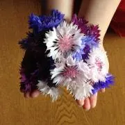 ルー