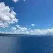 すずの画像