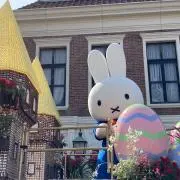 さおりの画像