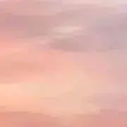 nの画像