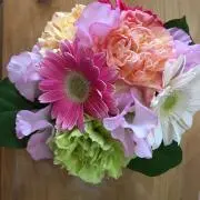 トイプの画像