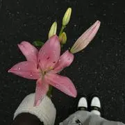 みみりんの画像