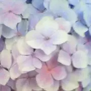 こけし