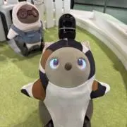 kazusuruの画像