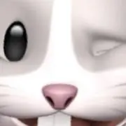 あいりんごりんの画像