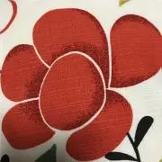 まっしーの画像