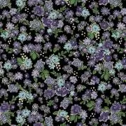 wakameの画像