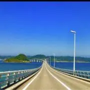 Tomの画像