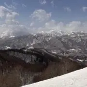 ねふの画像