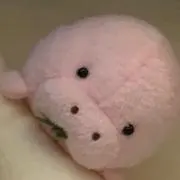 rimimiの画像